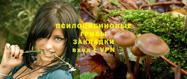 apvp Лиски