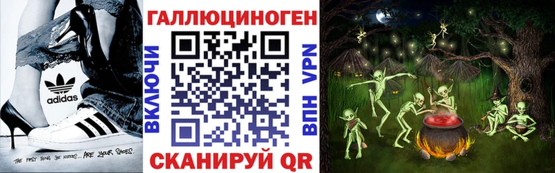 Псилоцибиновые грибы Psilocybine cubensis  Голицыно 